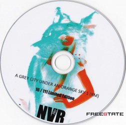 A Grey City Under An Orange Sky 01 RM cd.jpg