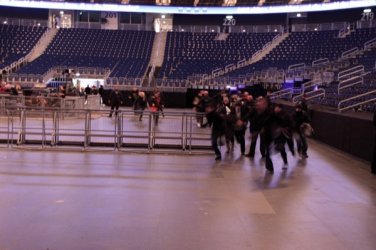 2009-01-09_001_berlin_-_photo_by_lee_roe.jpg
