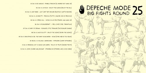 BigFightsRound25Cover.jpg