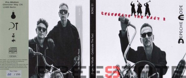 Celebrate-the-Fact-2-b.jpg
