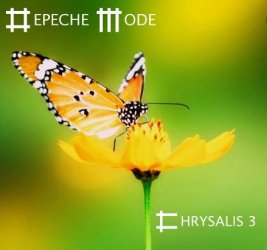 Chrysalis 3 - F.jpg