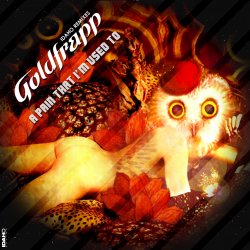 A Pain That I'm Used To - Idaho Remixes Front.jpg