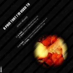 A Pain That I'm Used To - Idaho Remixes Inlay.jpg
