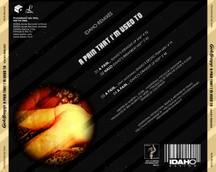 A Pain That I'm Used To - Idaho Remixes Back.jpg