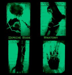 Anatomy (F).jpg