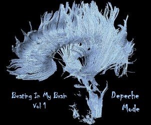 BeatingInMyBrain1Cover int.jpg