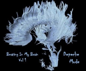 BeatingInMyBrain1Cover.jpg