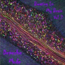 BeatingInMyBrainVol2Front int.jpg