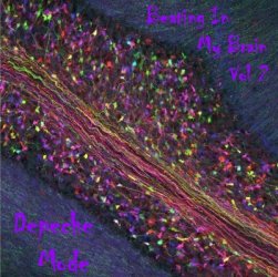 BeatingInMyBrainVol2Front.jpg