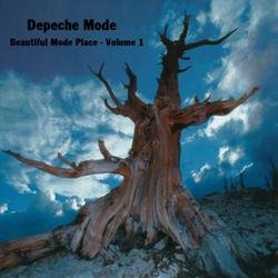 Beautiful Mode Place 01 front - int.jpg