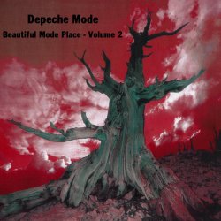 Beautiful_Mode_Place_Volume_2_-_front.jpg