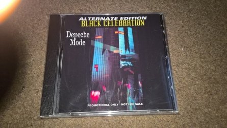 BLACK CELEBRATION ALTERNATE.jpg