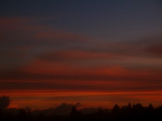 img_0868.jpg