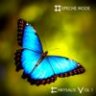 Chrysalis 01
