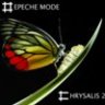 Chrysalis 02