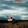 abrokenmaster-thum-jpg.2001