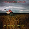 abrokenmixesfront-thum-jpg.2005